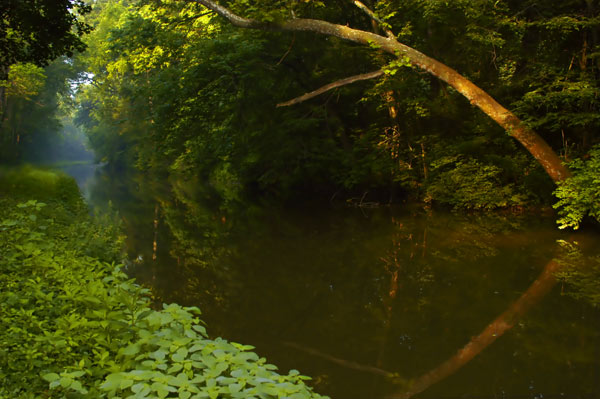 Delaware Canal at Wy-Hit-Tuk Park, Northampton County